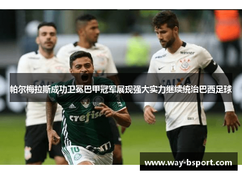 帕尔梅拉斯成功卫冕巴甲冠军展现强大实力继续统治巴西足球 帕尔梅拉斯成功卫冕巴甲冠军展现强大实力继续统治巴西足球